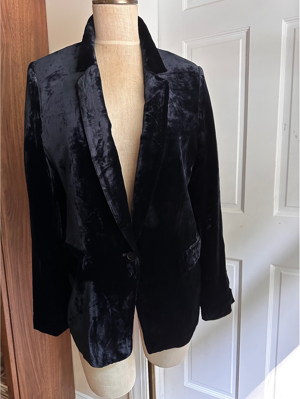 Banana Republic Women's Silk-Blend Velvet Lined Blazer Size 12